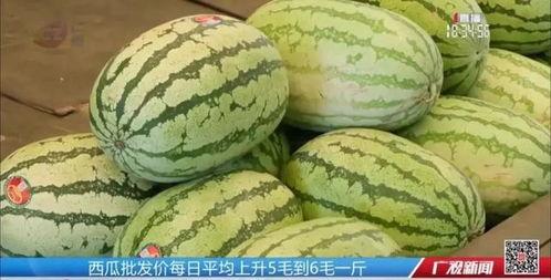 网红吃瓜群怎么进,如何轻松加入热门话题圈