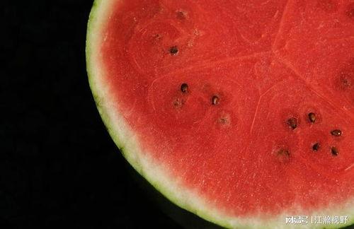 极端吃瓜,一场极端吃瓜盛宴背后的真相