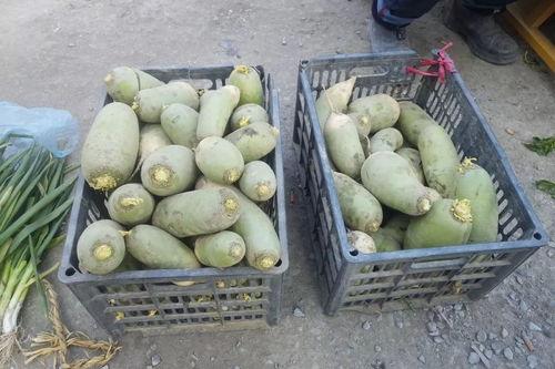 潢川吃瓜事情真相,真相与反思