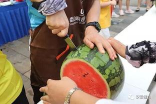 暴力吃瓜怎么玩,一场舌尖上的狂欢之旅