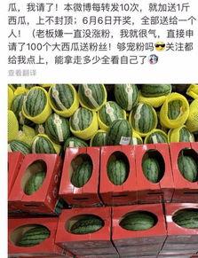群众转发抽奖吃瓜,群众转发抽奖，瓜分惊喜福利！