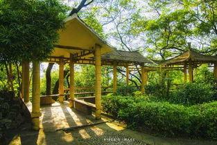 梧州学院吃瓜亭子,校园里的休闲小憩之地